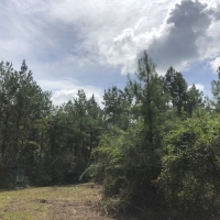 280 Ac &nbsp; FM 1943 images 4