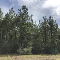 280 Ac &nbsp; FM 1943 images 5