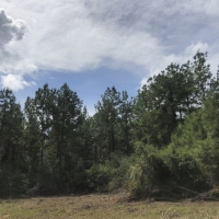 280 Ac &nbsp; FM 1943 images 6