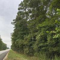 27 Acres &nbsp; SH 146 images 1