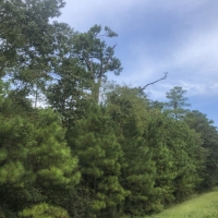 27 Acres &nbsp; SH 146 images 2