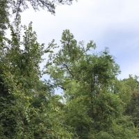 27 Acres &nbsp; SH 146 images 4