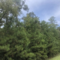 27 Acres &nbsp; SH 146 images 6
