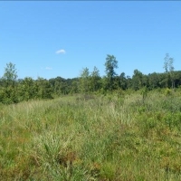 285 Acres in Kemper County in Scooba  MS