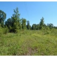 285 Acres in Kemper County in Scooba  MS images 2