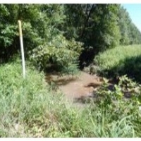 285 Acres in Kemper County in Scooba  MS images 3
