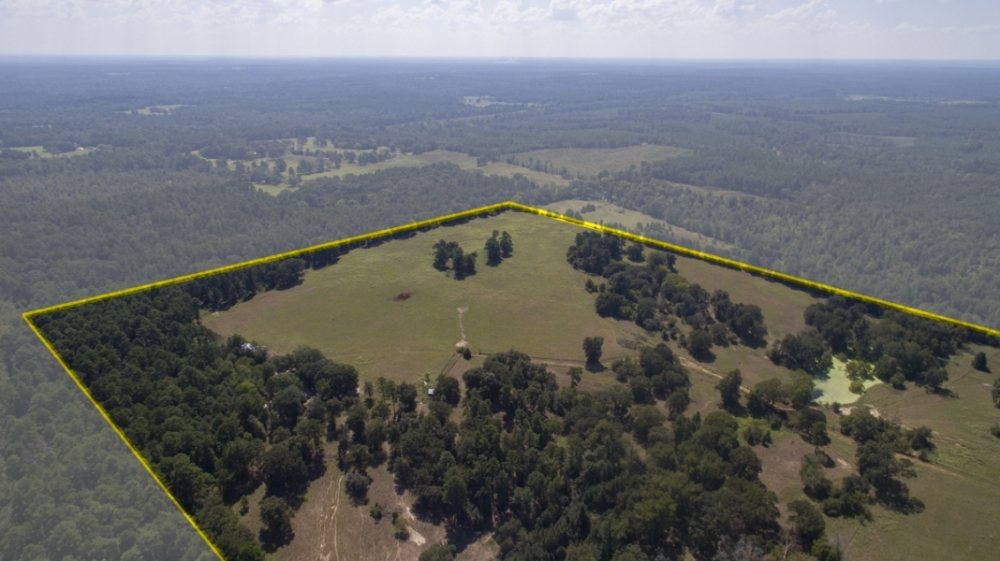 244 Acres &nbsp; The Old Homeplace featured image