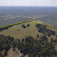 244 Acres &nbsp; The Old Homeplace