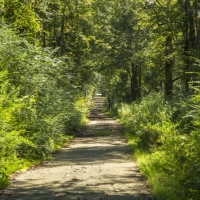 244 Acres &nbsp; The Old Homeplace images 4