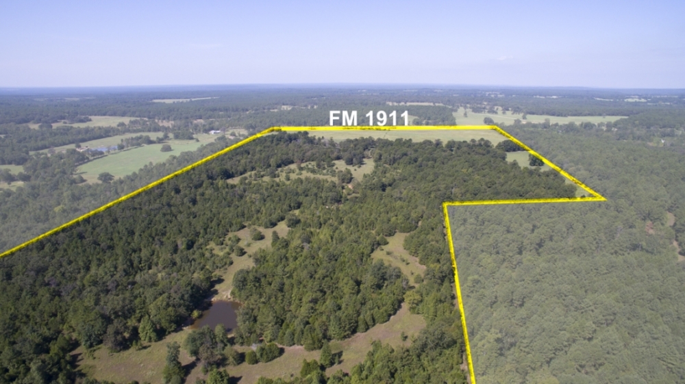 166 Acres &nbsp; FM 1911 featured image