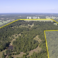 166 Acres &nbsp; FM 1911