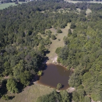 166 Acres &nbsp; FM 1911 images 2