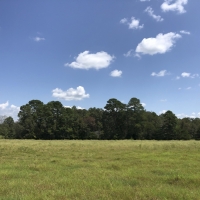 166 Acres &nbsp; FM 1911 images 6