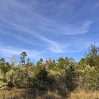 28 Acres &nbsp; New Waterwood Tr 5 images 2