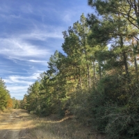 22 Acres &nbsp; New Waterwood Tr 7 images 6