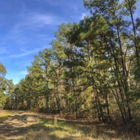45 Acres &nbsp; New Waterwood Tr 13 images 4