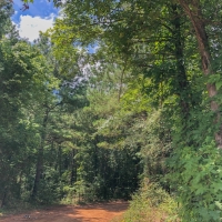 10 Acres &nbsp; CR 4223 images 4