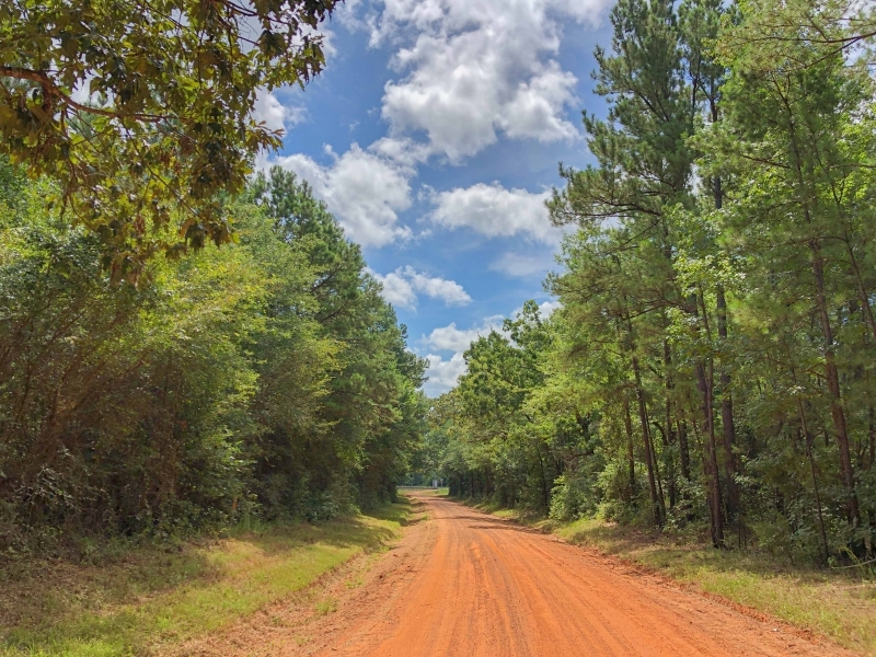 27 Acres Tr B &nbsp; CR 4223 featured image