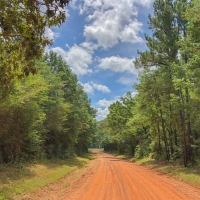 27 Acres Tr B &nbsp; CR 4223