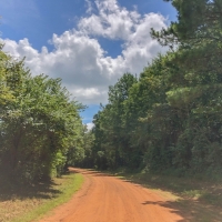 27 Acres Tr B &nbsp; CR 4223 images 2