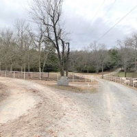 THE MAIN GAIT FARM images 2