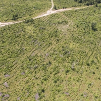 2200 Acres &nbsp; SH 30 images 3