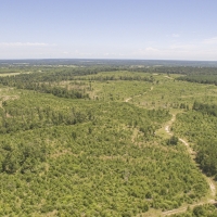 2200 Acres &nbsp; SH 30 images 5