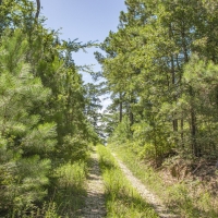2200 Acres &nbsp; SH 30 images 6