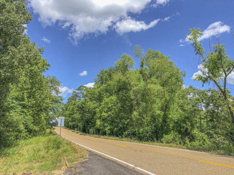 131 Acres &nbsp; Caney Estates &nbsp; 311029 featured image