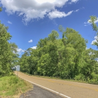 131 Acres &nbsp; Caney Estates &nbsp; 311029