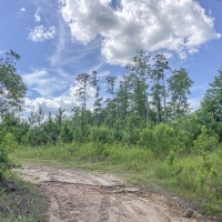 131 Acres &nbsp; Caney Estates &nbsp; 311029 images 2