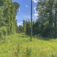 131 Acres &nbsp; Caney Estates &nbsp; 311029 images 5