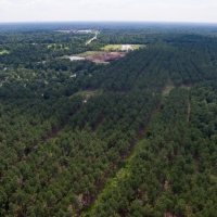 730 Acres &nbsp; Montgomery County Transition