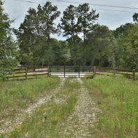 730 Acres &nbsp; Montgomery County Transition images 6