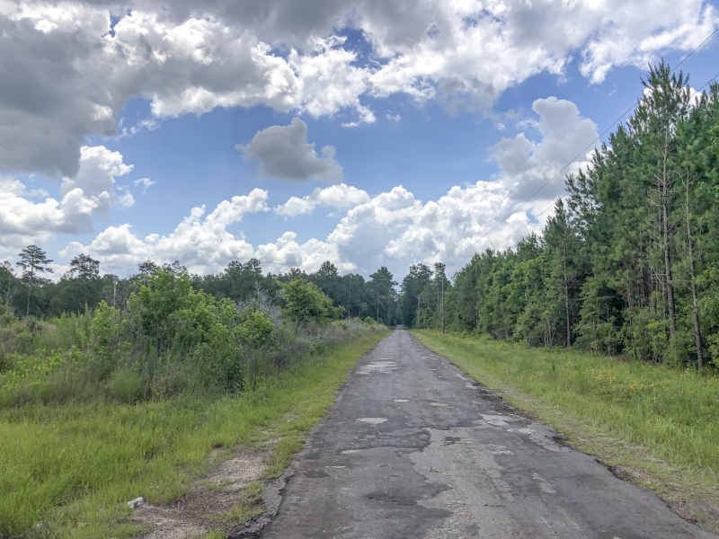 23 Acres &nbsp; County Road 1325 &nbsp; 285007 featured image