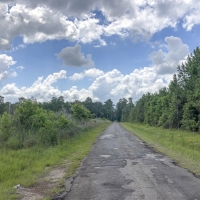 23 Acres &nbsp; County Road 1325 &nbsp; 285007