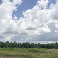 23 Acres &nbsp; County Road 1325 &nbsp; 285007 images 2