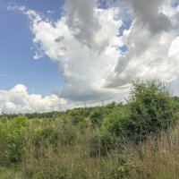23 Acres &nbsp; County Road 1325 &nbsp; 285007 images 4