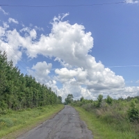 23 Acres &nbsp; County Road 1325 &nbsp; 285007 images 5