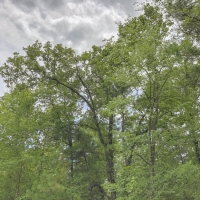 32 Acres &nbsp; FM 356 Rec &nbsp; 271111 images 4