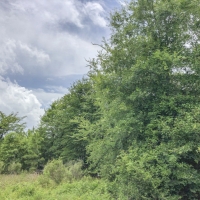 44 Acres &nbsp; FM 356 Rec &nbsp; 271111 images 4
