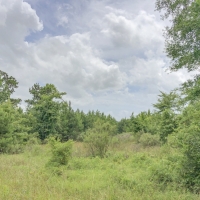 44 Acres &nbsp; FM 356 Rec &nbsp; 271111 images 5