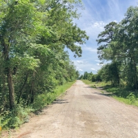524 Acres &nbsp; Hopewell Road &nbsp; 271028