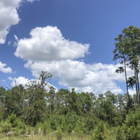 524 Acres &nbsp; Hopewell Road &nbsp; 271028 images 2