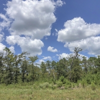 524 Acres &nbsp; Hopewell Road &nbsp; 271028 images 3