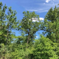 524 Acres &nbsp; Hopewell Road &nbsp; 271028 images 4