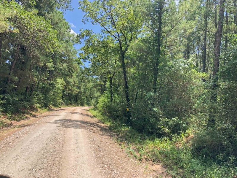 34 Acres &nbsp; Lost Indian Camp Road &nbsp; 271013 featured image