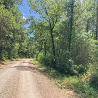 34 Acres &nbsp; Lost Indian Camp Road &nbsp; 271013