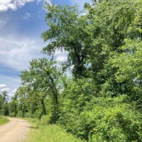 34 Acres &nbsp; Lost Indian Camp Road &nbsp; 271013 images 3