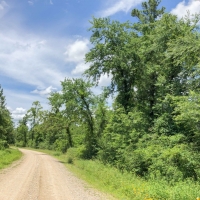 34 Acres &nbsp; Lost Indian Camp Road &nbsp; 271013 images 6